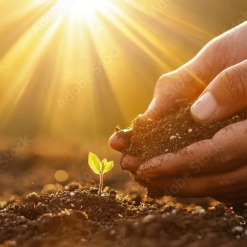 Coaching session for women healing after betrayal in a faith-based recovery setting